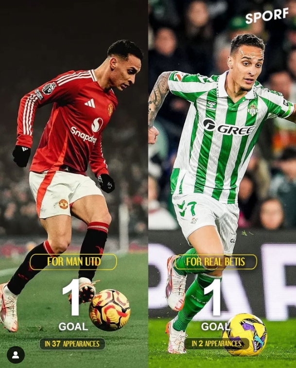 爱游戏官网-关于浓眉哥在曼联比赛中关键助攻，关键助攻引发热议！的信息-爱游戏官网